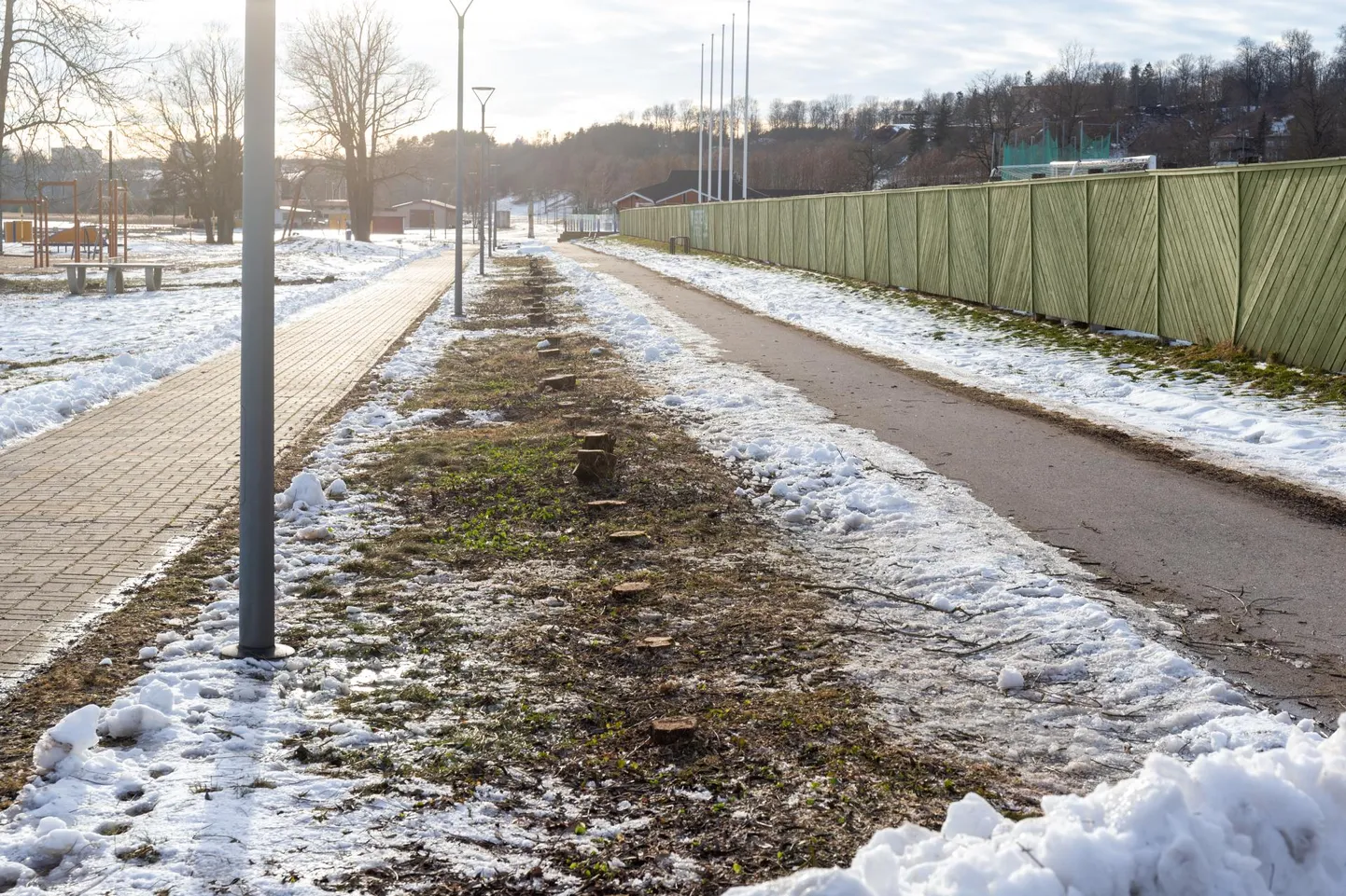 Põõsaste alleest Viljandi järve ääres on järel vaid kännud.