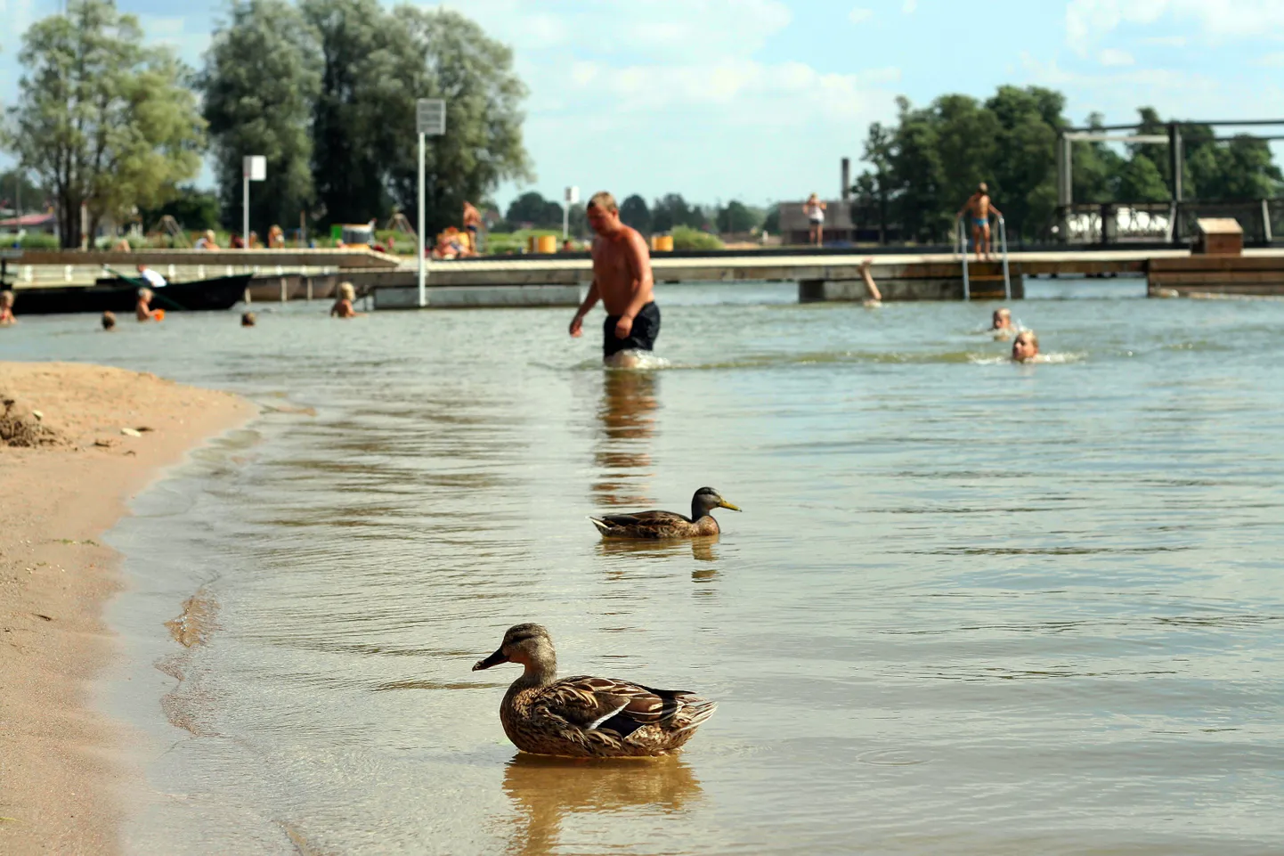 Just juunikuu alguseks võib päike siseveekogud suplussoojaks kütta