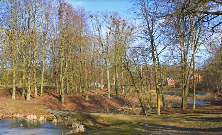 Raksta foto