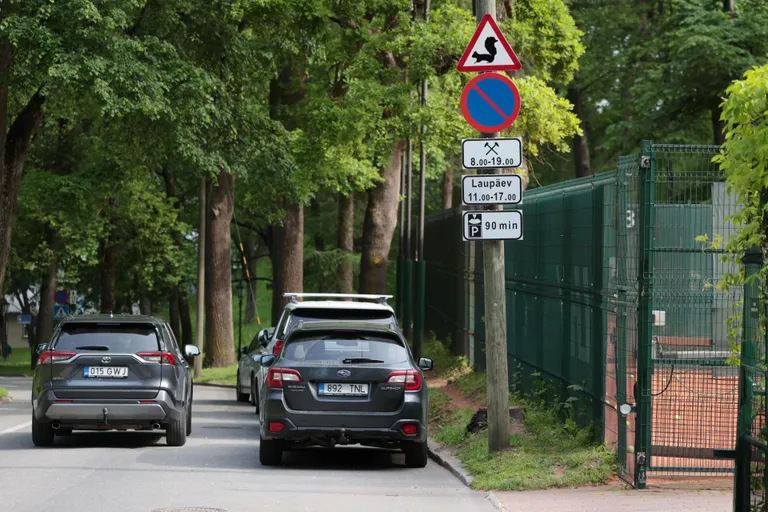 Hoiatusmärgist «Oravad on teel!» tasub hoolida aasta ringi, kuna oravad talveund ei maga.