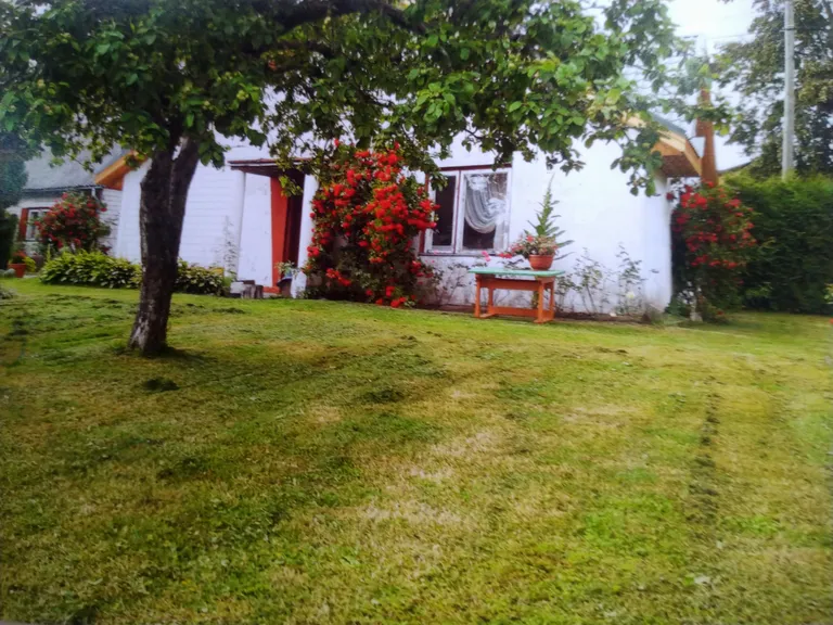 Artikli foto