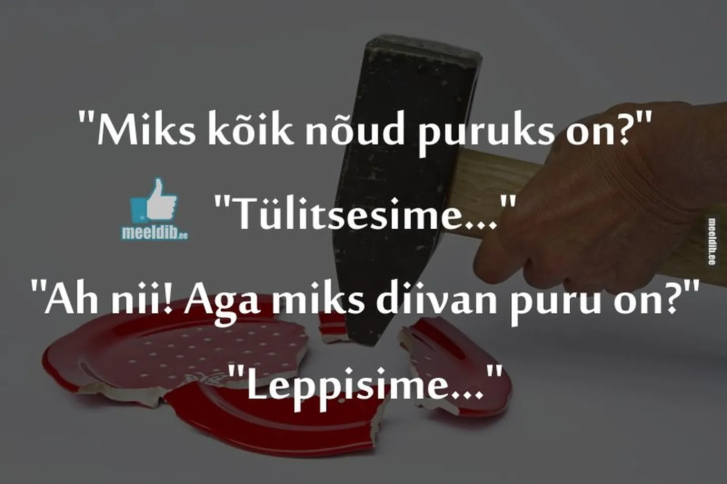 Artikli foto