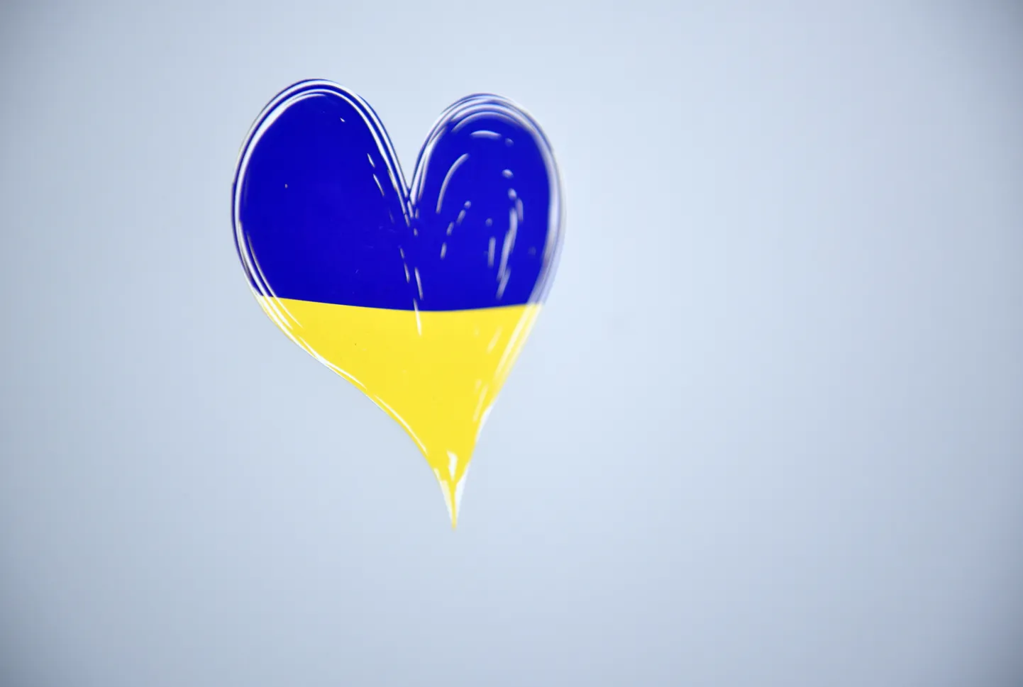 Благотворительная акция в поддержку Украины в офисе Ziedot.lv