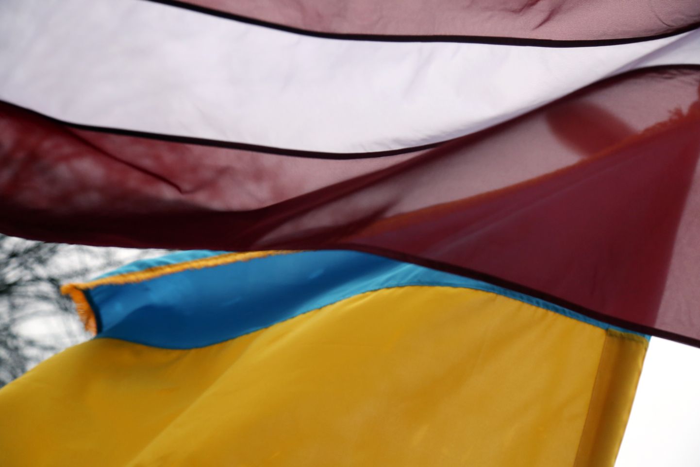 Латвийский и украинский флаги