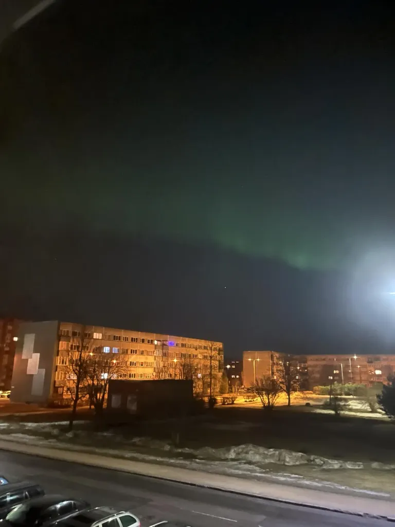 Фото статьи
