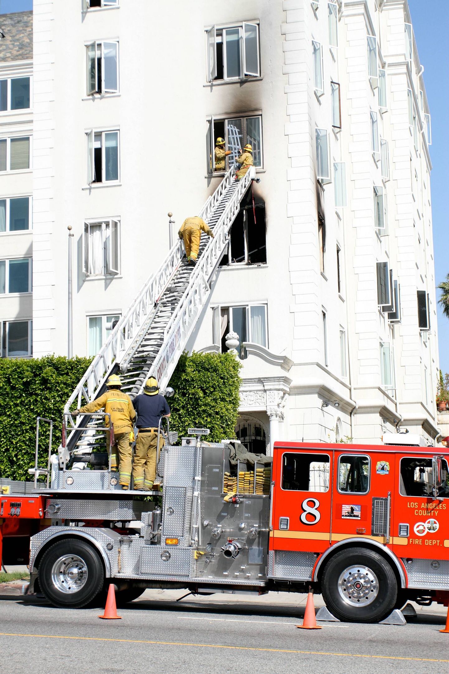 Ashley Greene'i Lääne-Hollywoodi korter süttis reedel põlema