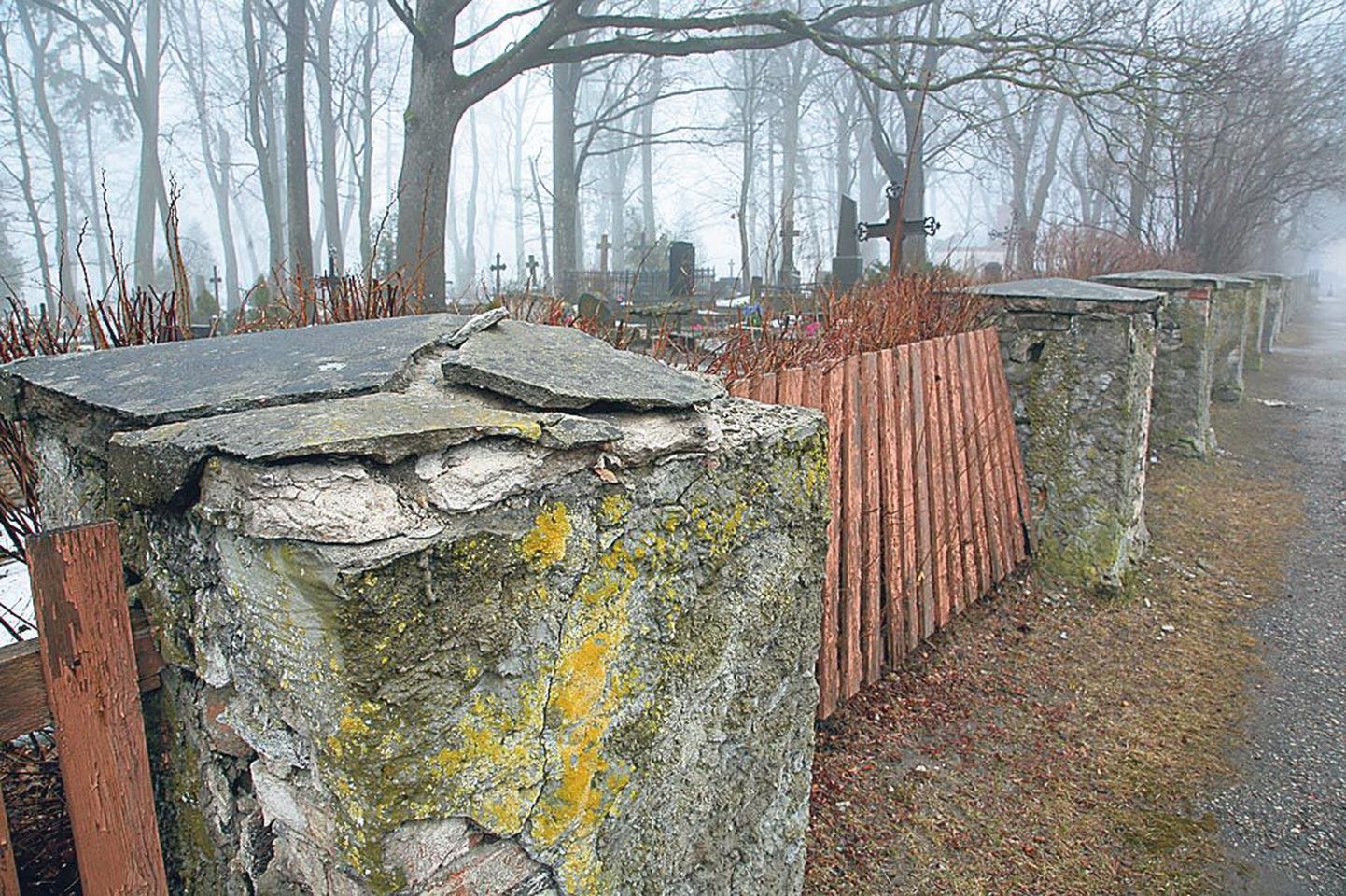 Vana-Pärnu kalmistu hullusti mäda aia renoveerimise projekt on tehtud enne masu. Seepärast pole kavandatu praegu jõukohane ning aed korrastatakse jupp haaval.