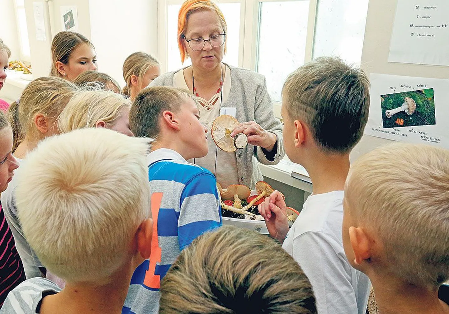 Tartu ülikooli loodusmuuseumi loodushariduse koordinaator Külli Kalamees-Pani tutvustas Vanemuise 46 majas avatud seenenäitusel eile Reiniku kooli 3.d klassile punast kärbseseent, mida Andri Kutsar (keskel sinise särgiga) uuris õige lähedalt.
