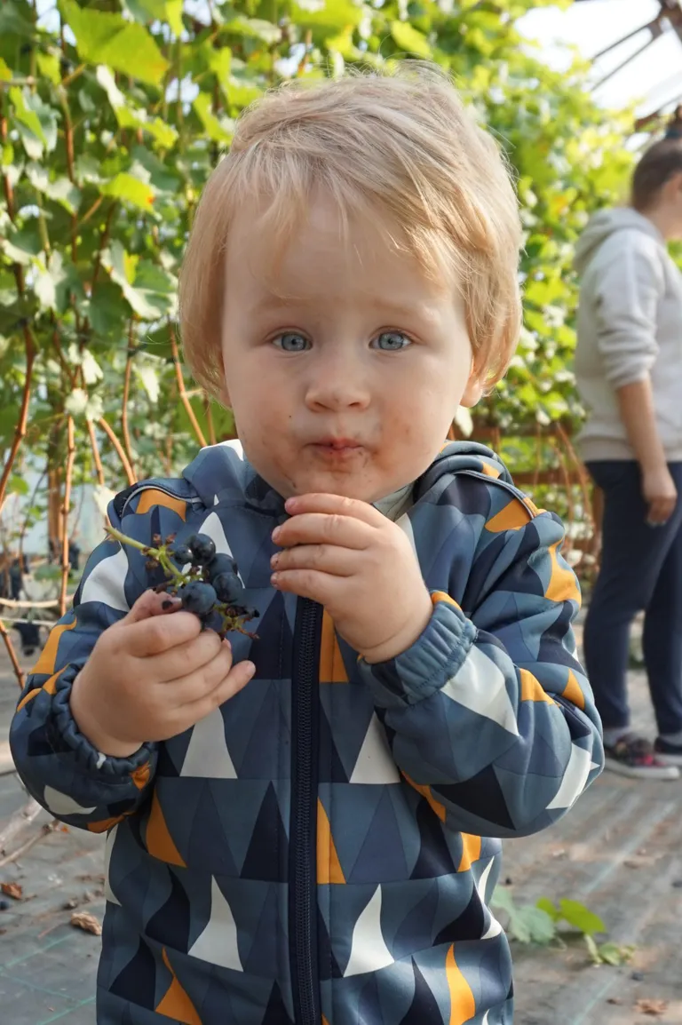 Aastane perepoeg Mattias nautis saagikoristuspäeva täiel rinnal.