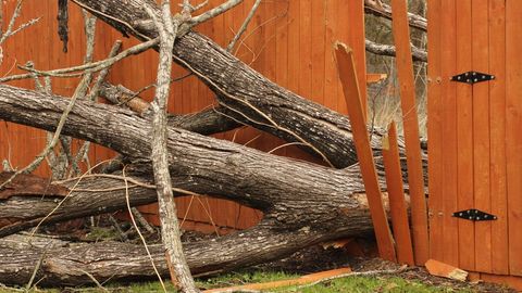 Mida teha, kui torm on tulekul? 6 soovitust, kuidas oma kodu