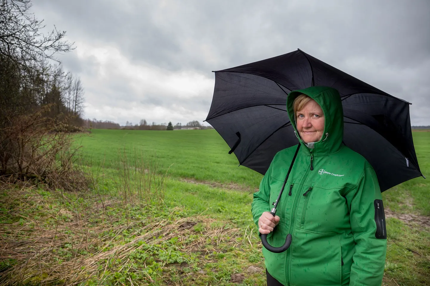 Raplamaal asuva Nõmmepere aiandustalu perenaine Rut Kaeval pelgab, et tema põlde poolitama hakkava Rail Balticu raudtee ehitamise korral pakutav kompensatsioon ei kata tema kulu ja investeeringuid.