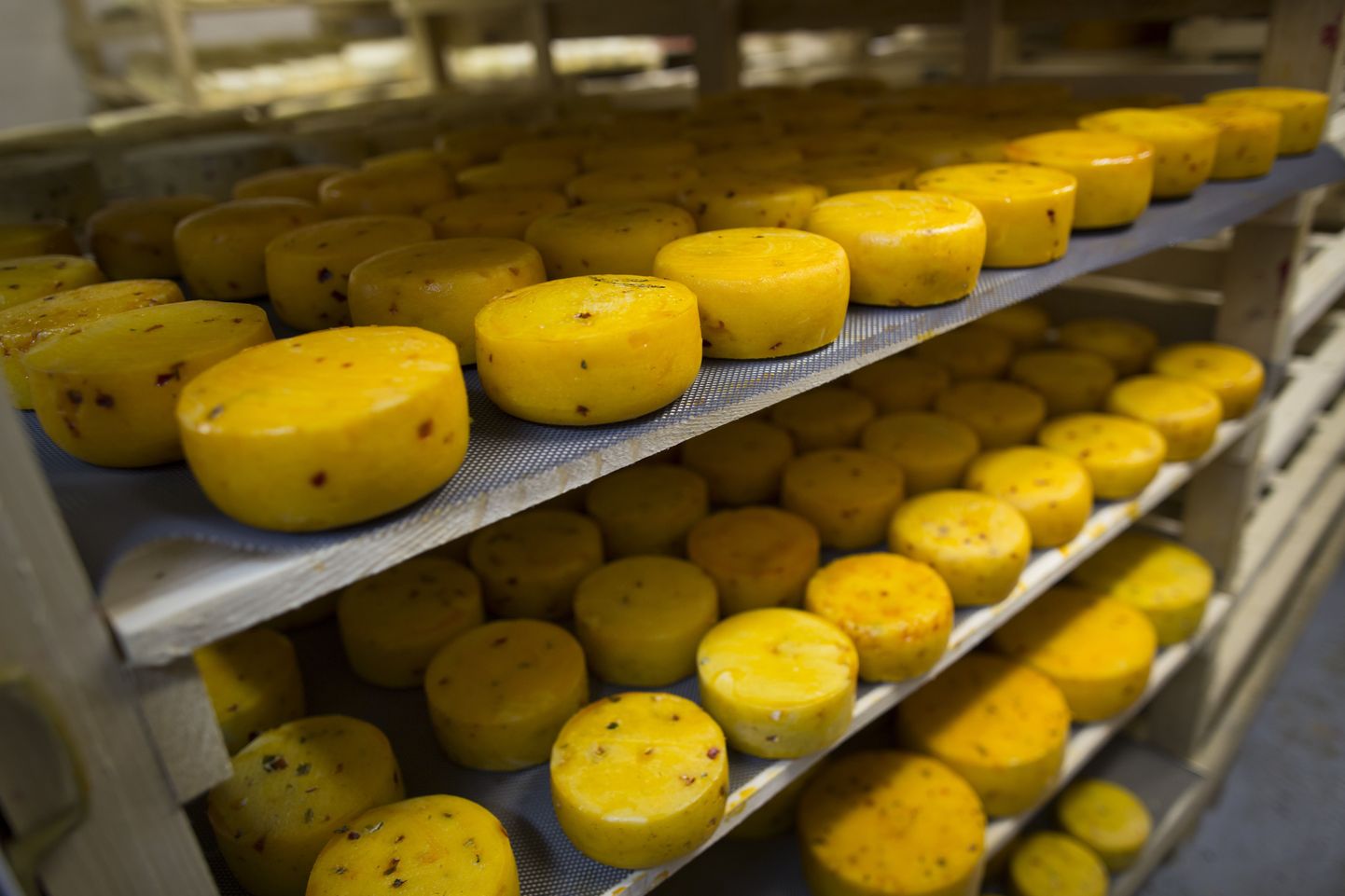 Vene Farmerid loodavad kodumaise juustu müüginumbrite kasvu.