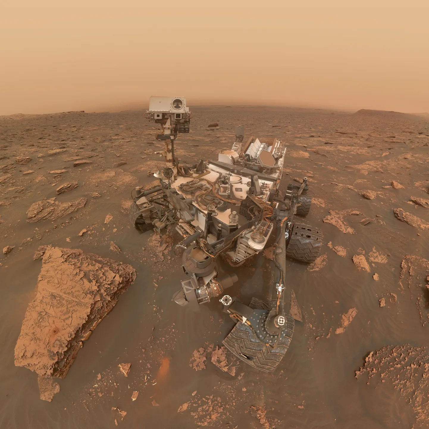 Curiosity kulguri selfie.