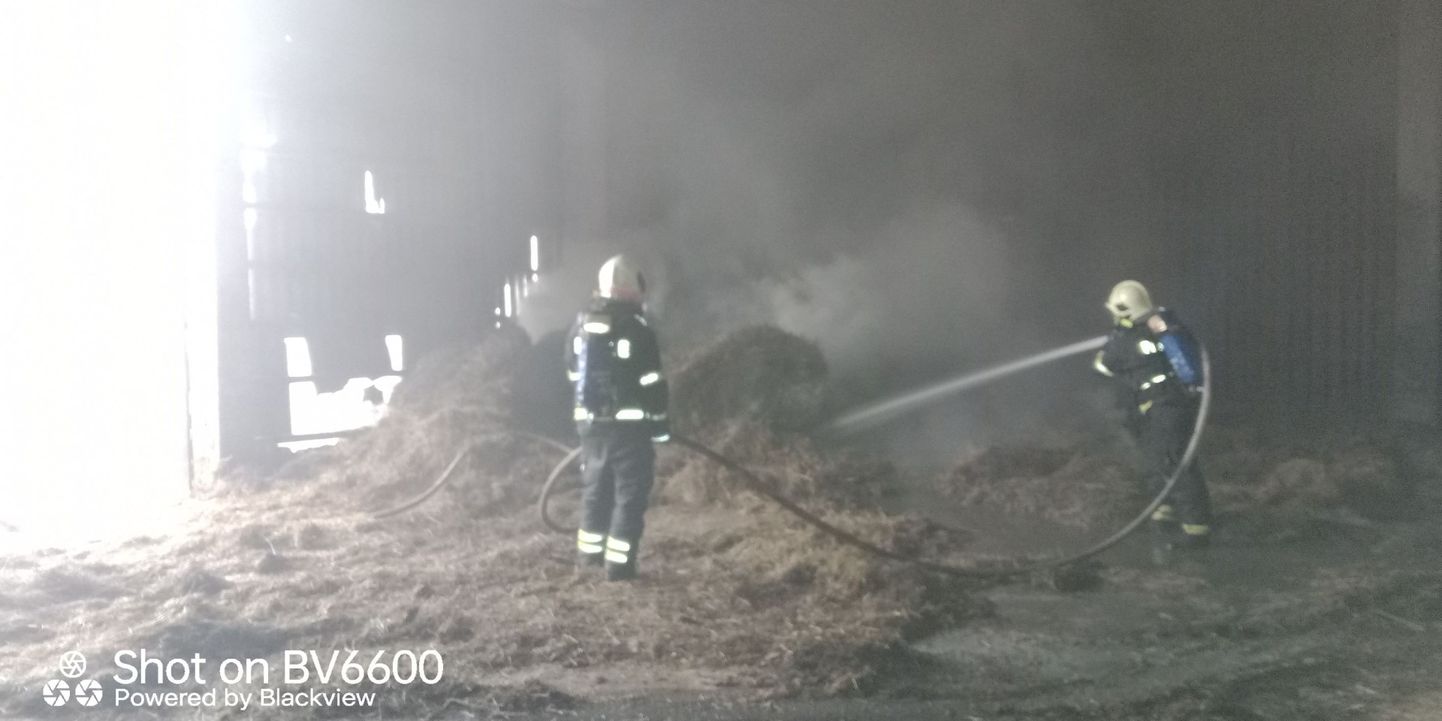 Пожар в деревне Куриста в волости Йыгева.