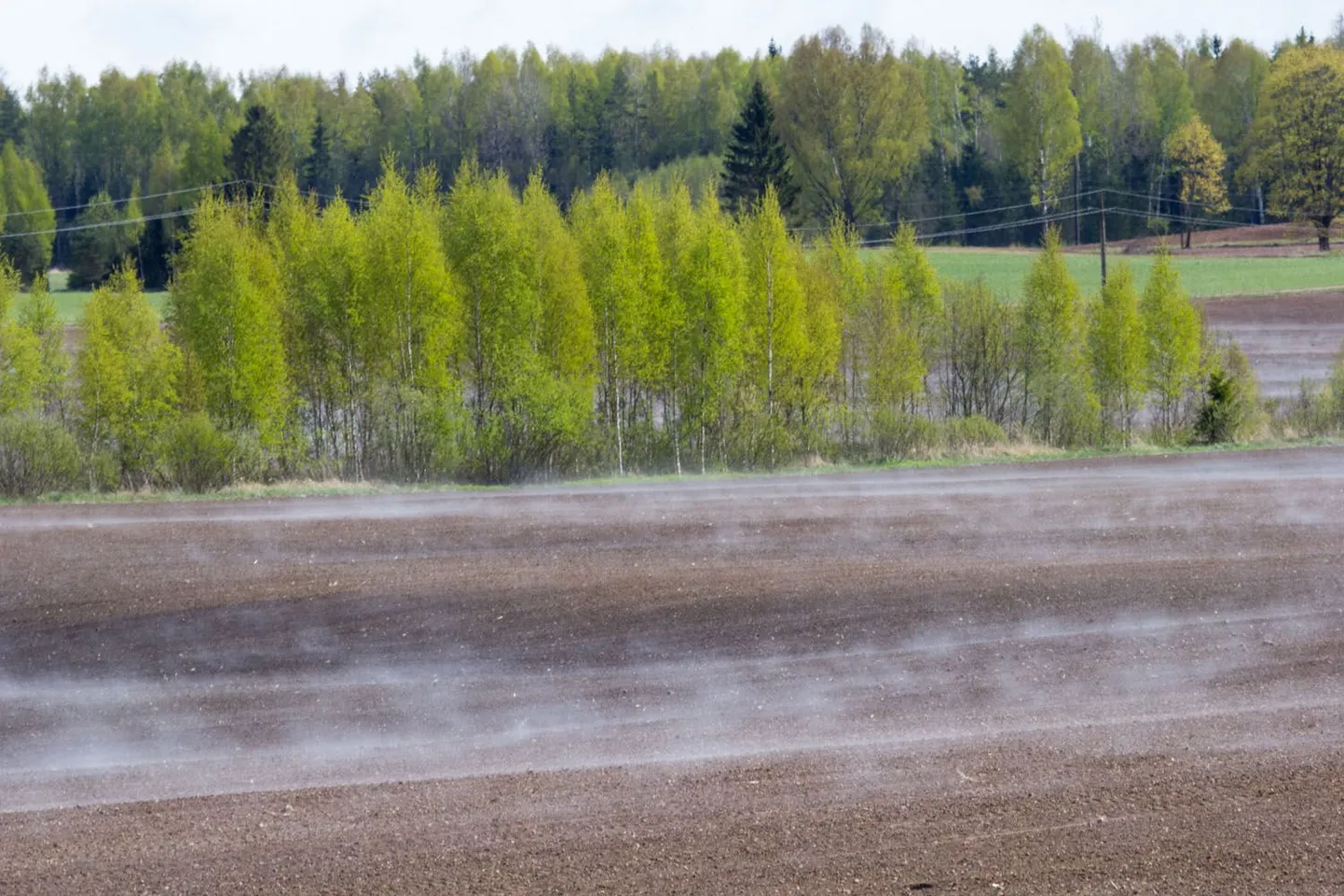 Põld pärast lörtsisadu