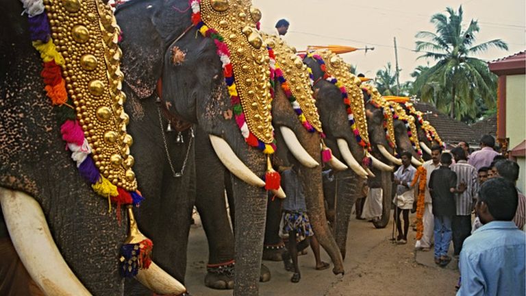 Религиозный фестиваль в Керале с участием слонов.
