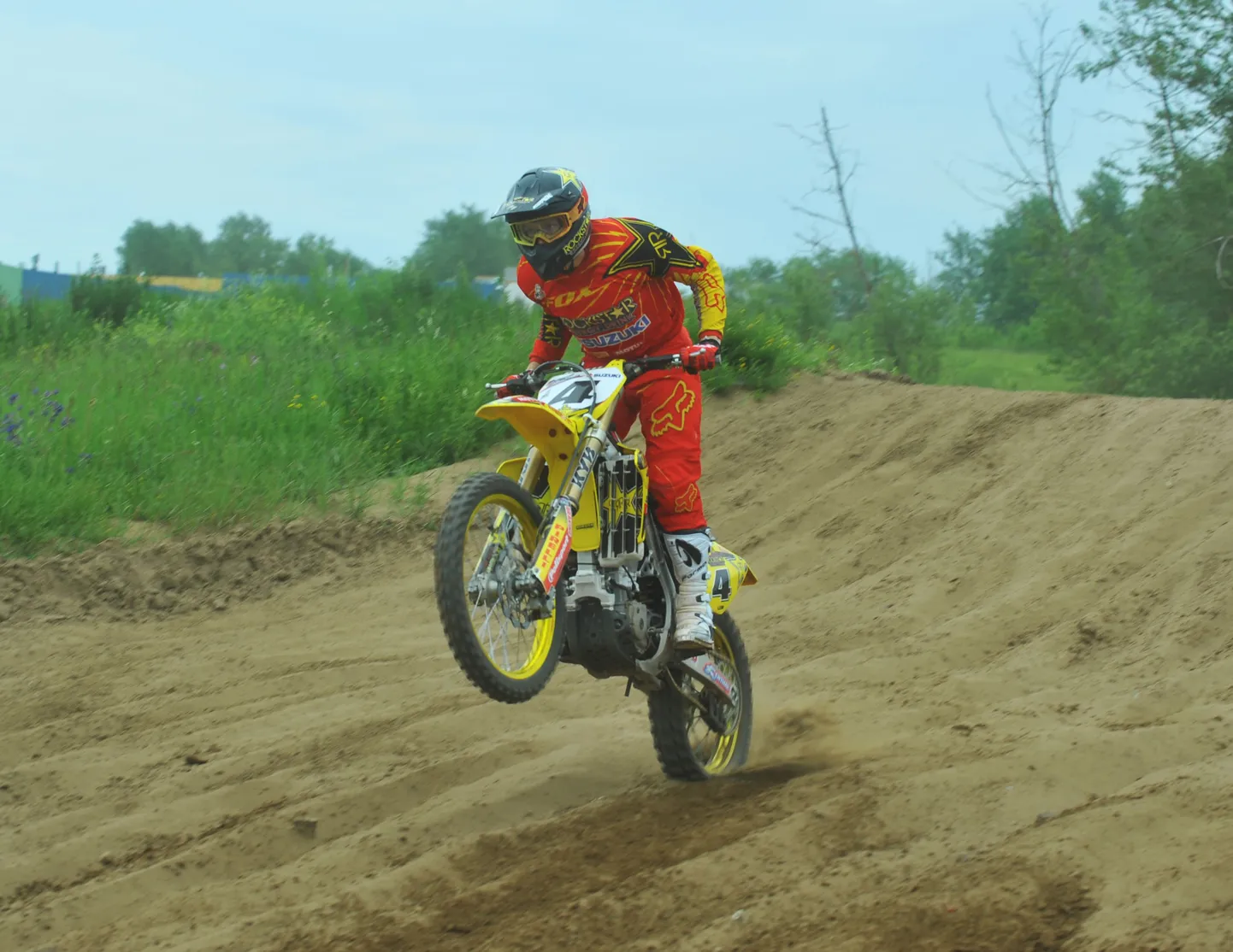 Tanel Leok