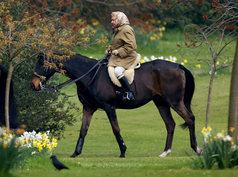 Briti kuninganna Elizabeth II ratsutamas