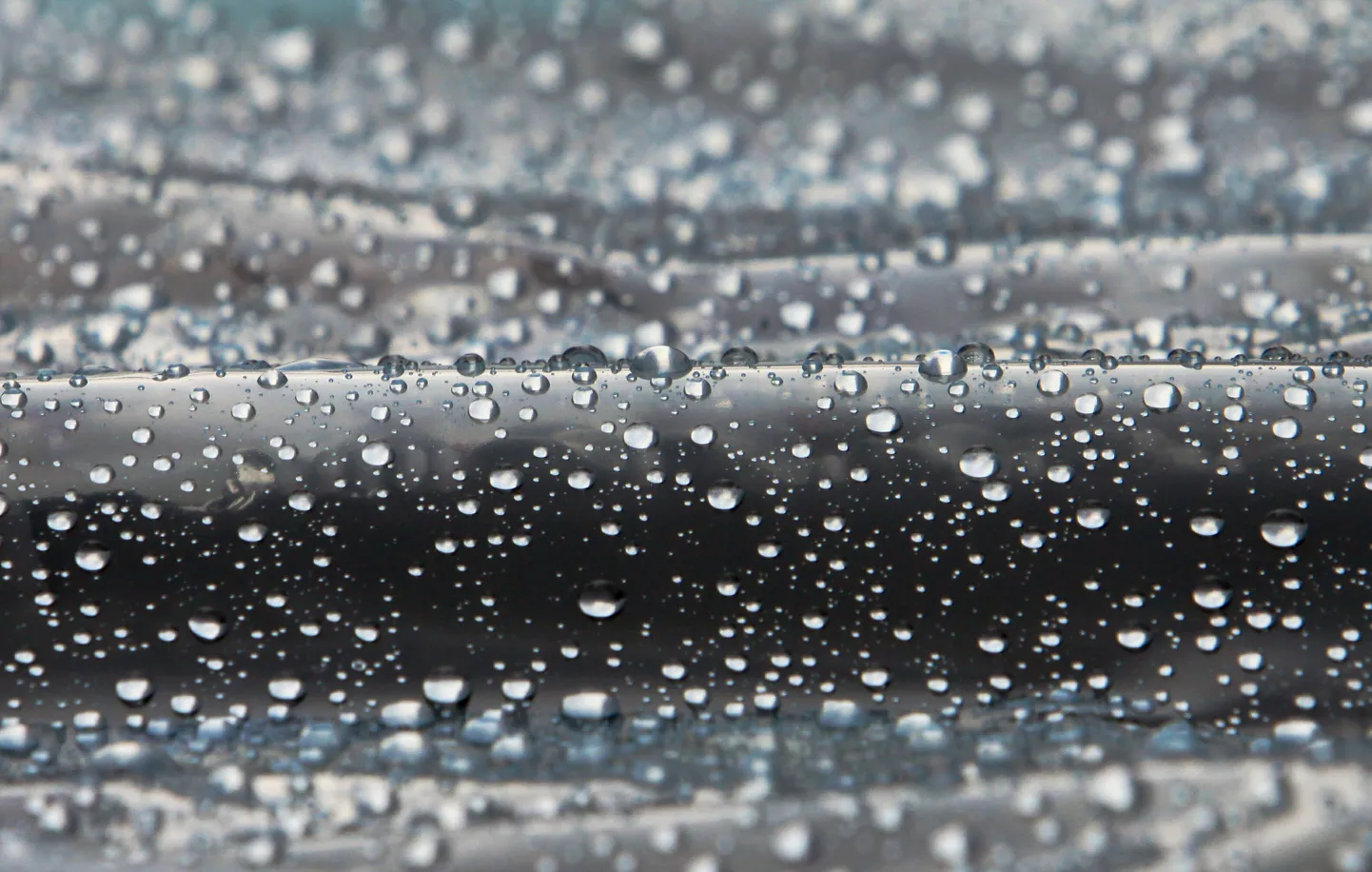 Kontserdil "Different Rains" kõlavate lugude ühiseks nimetajaks võib pidada loodusnähtuste - lindude, lillede, vihma, valguse - projektsioone muusikas.