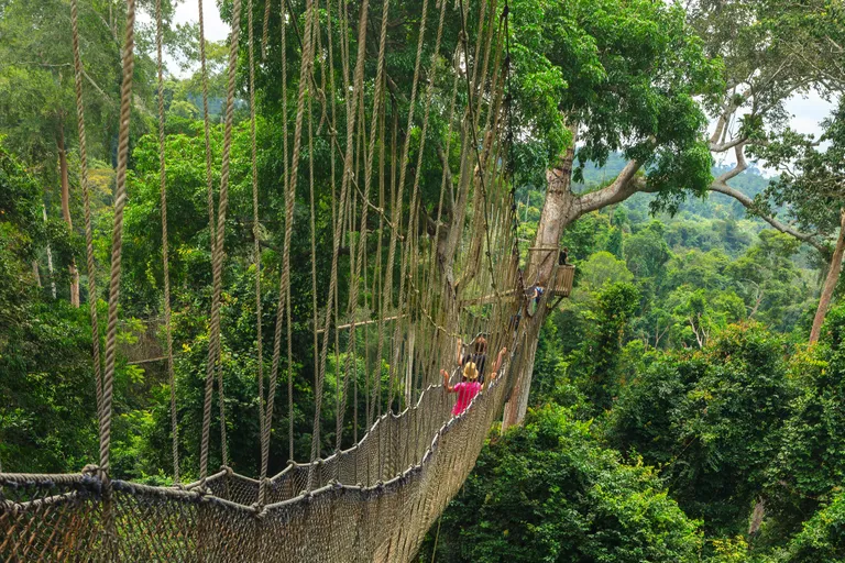 Canopy kõnnitee Ghanas