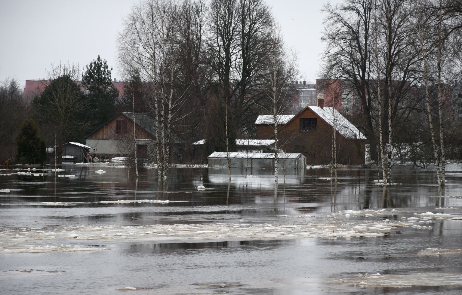 Üle kallaste tõusnud Daugava jõgi Jēkabpilsi maakonnas.