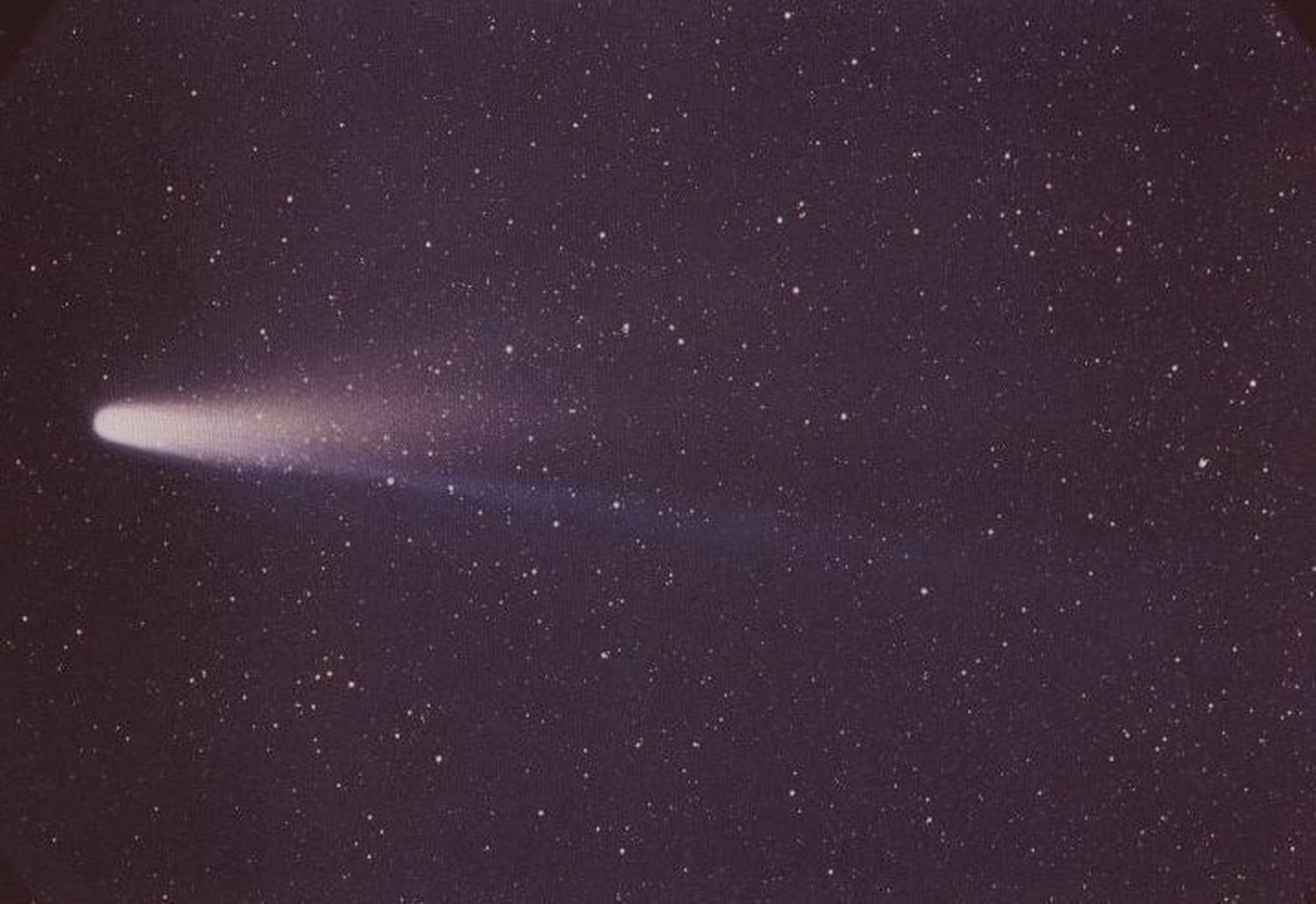 Halley komeet