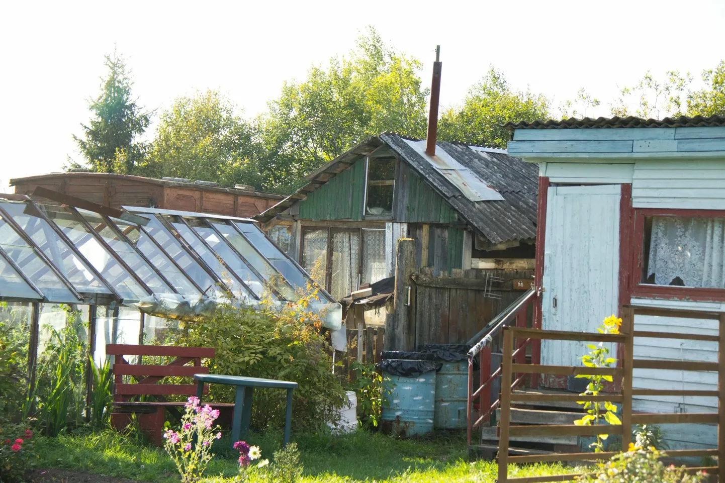 Фото статьи