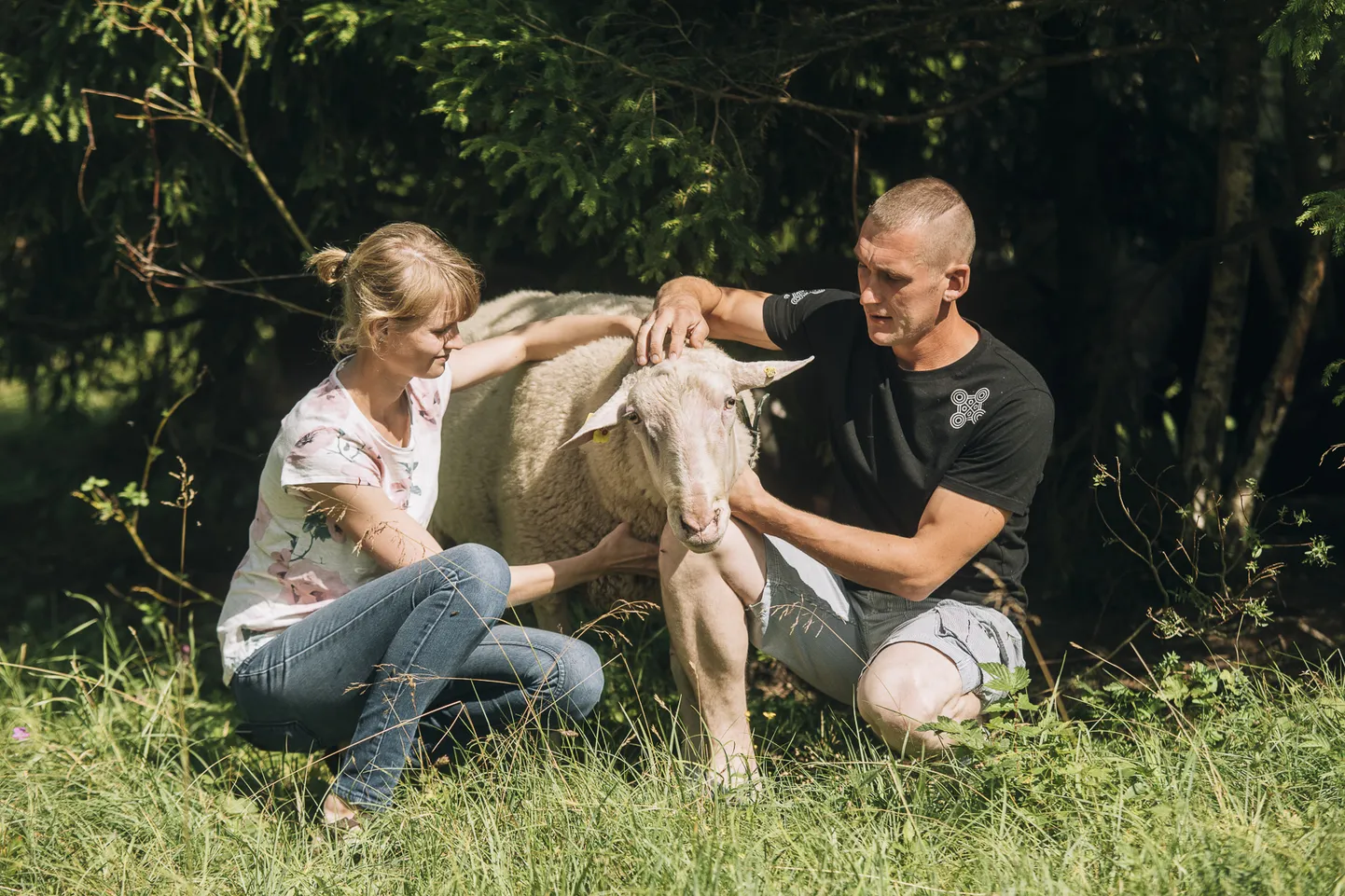 Üks külastatav ettevõte, osaühingu Männiku Piimalambad talu, tegeleb ida-friisi tõugu piimalammaste aretusega ning lambapiimatoodete tootmisega.