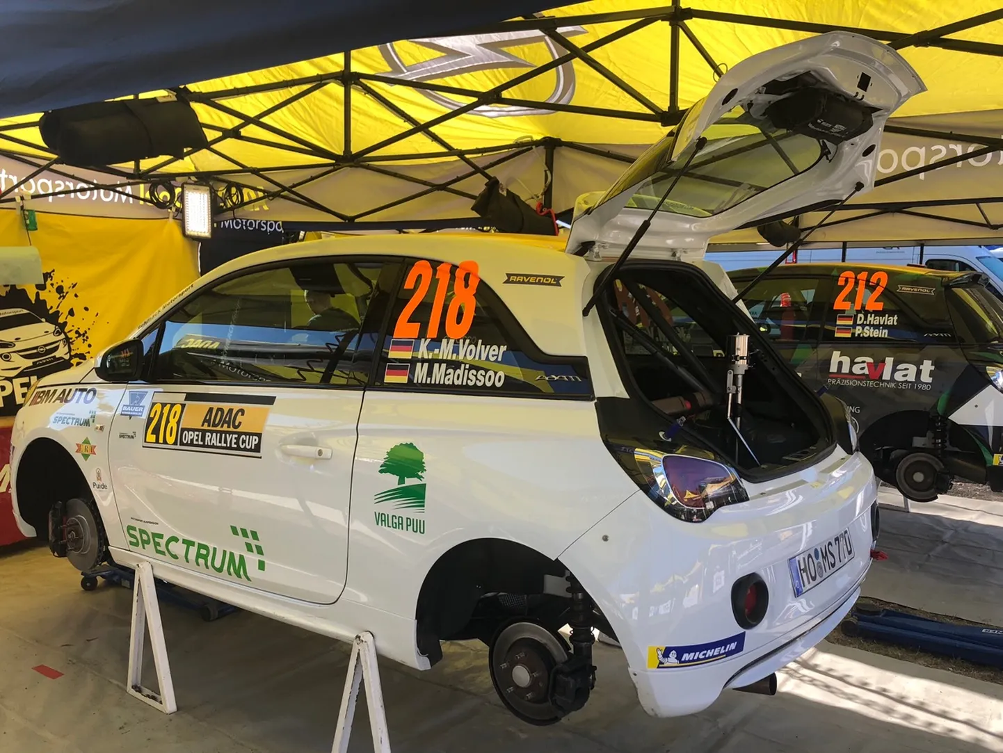 Karl Martin Volver Saksamaa rallil.
