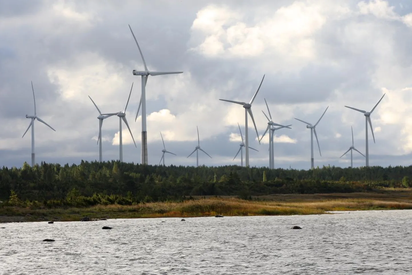 Sustainable Investments plaanib arendada Vinni vallas mitut tuuleparki, mille tarvis on ettevõte sõlminud kokkuleppeid kohalike maaomanikega ja alustanud väljamakseid.