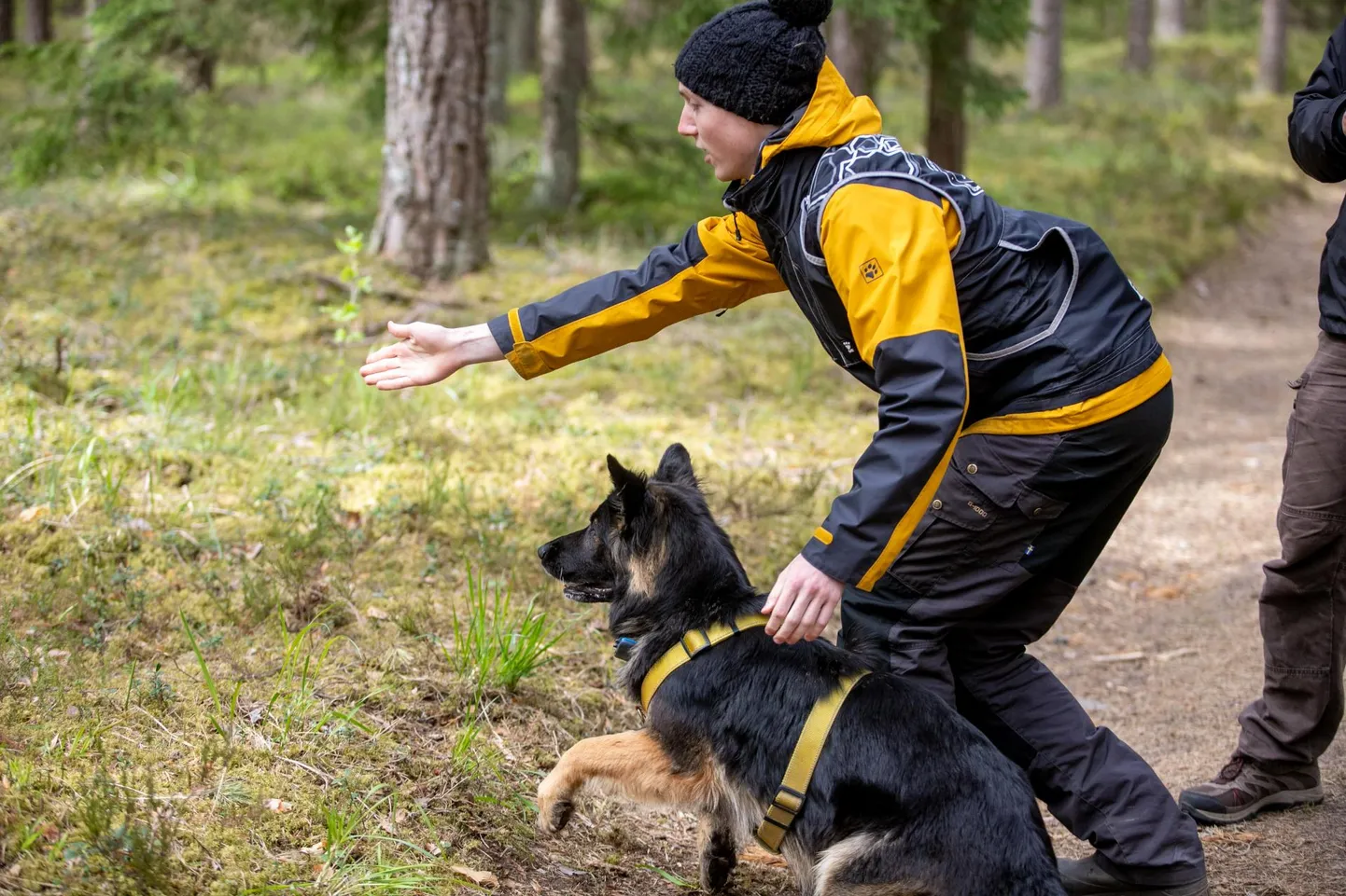 “Päästa!” hüüab Erik Mäesep oma Saksa lambakoerale Jetile.