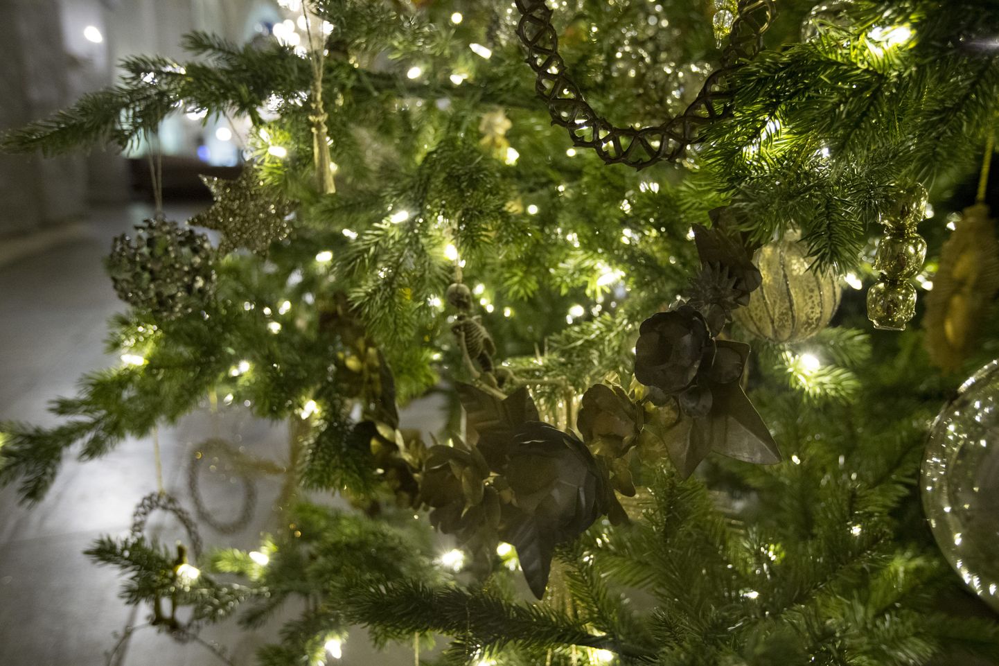 Niguliste kiriku jõulupuu on ehitud surnupealuude ja luukerekujuliste ehetega.