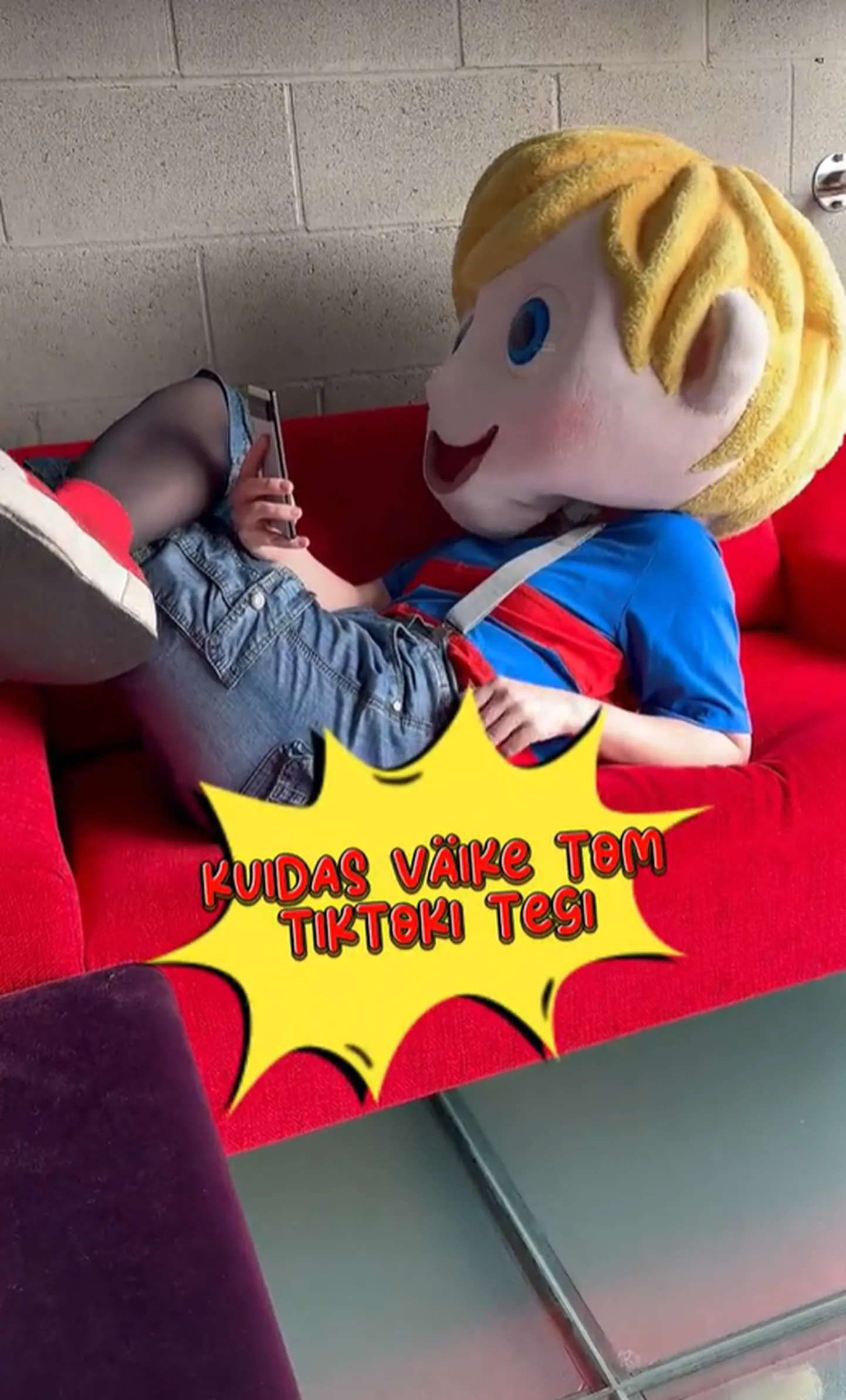 Väike Tom TikTokis.