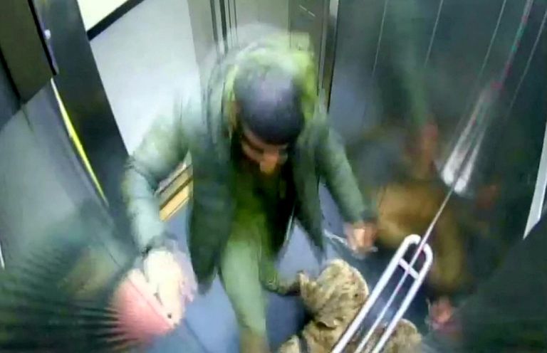 Khan peksis oma koera liftis ega teinud turvakaamerat märkamagi.