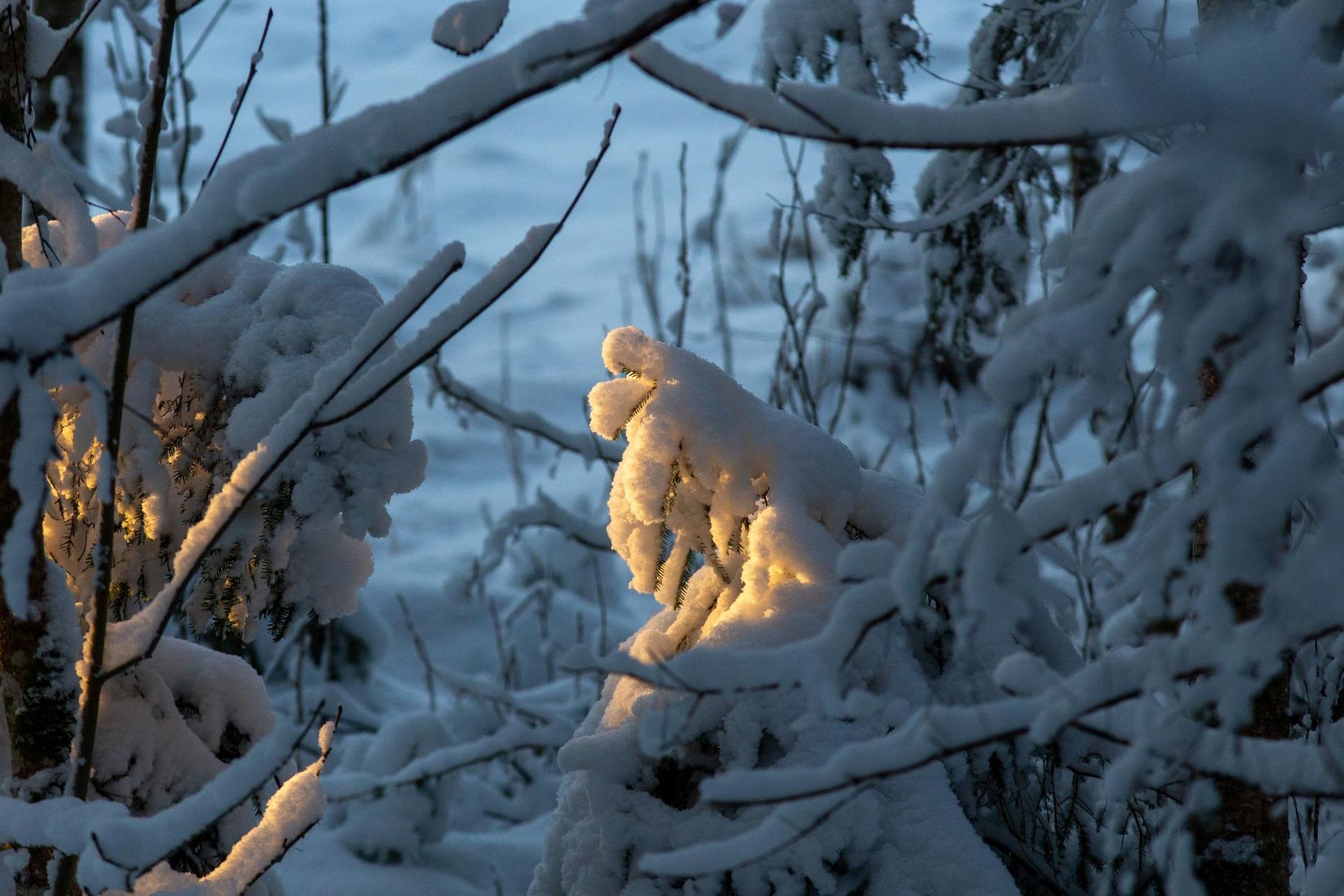 Talve esimene pool on olnud nii kaunilt lumine kui kurvalt vesine. See pilt on tehtud Viljandimaal 26. detsembril.