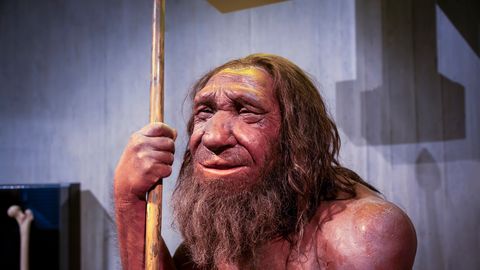 Meis on küll neandertallaste geenid, kuid üks oluline osa on siiski kadunud