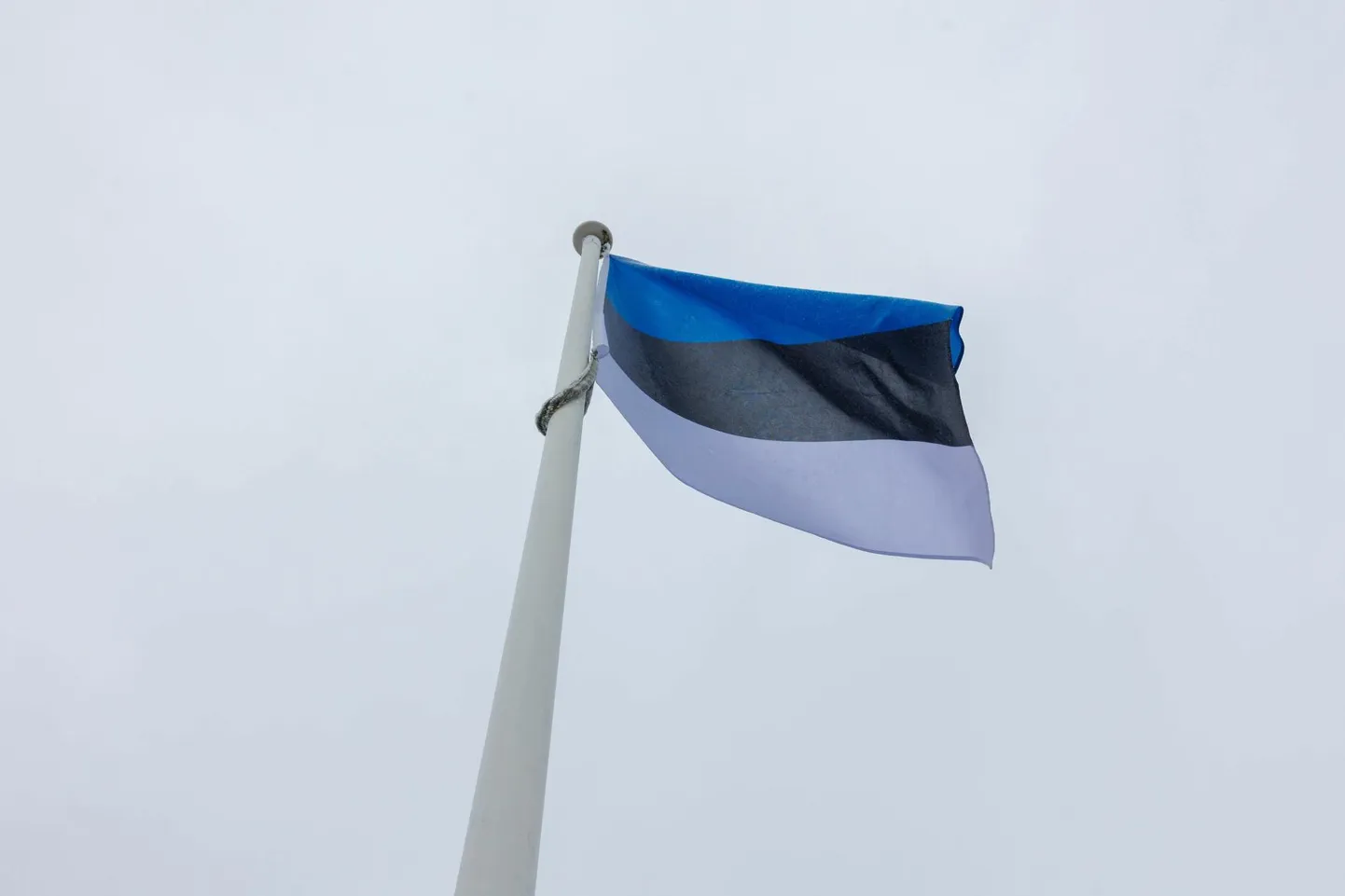 Riigipühadel heistakse sinimustvalged lipud.