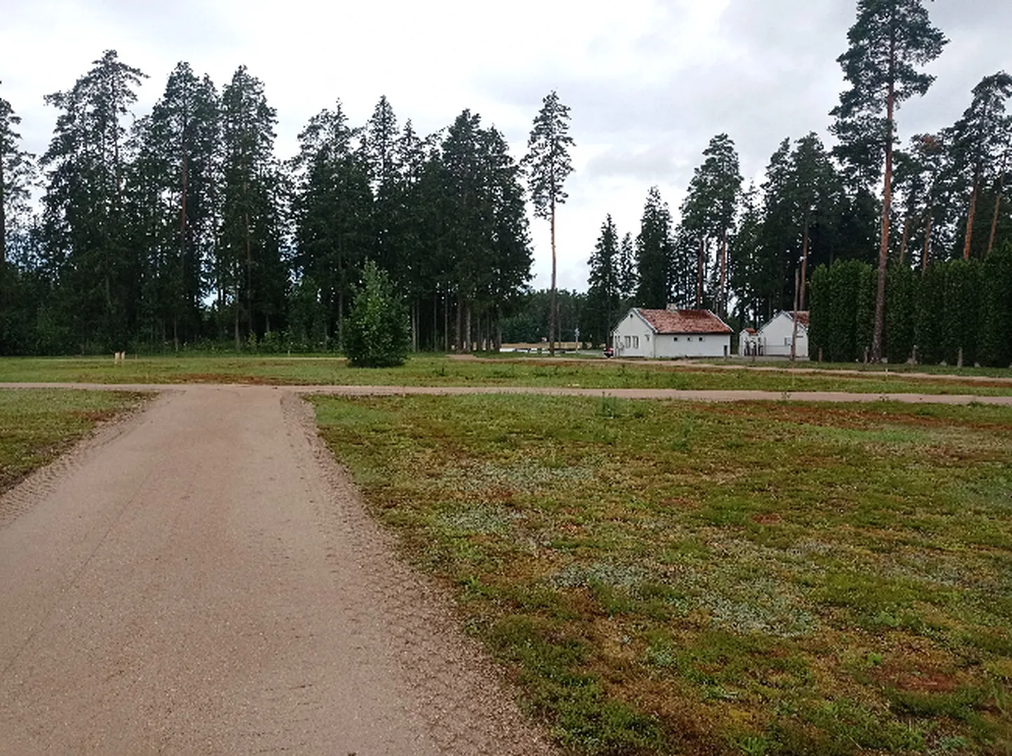Фото статьи
