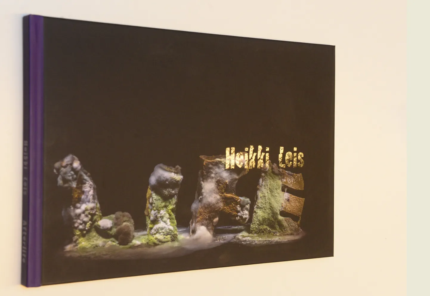 Heikki Leisi fotoraamatu «Afterlife» on Tartus tänavu üllitanud Silmapete.