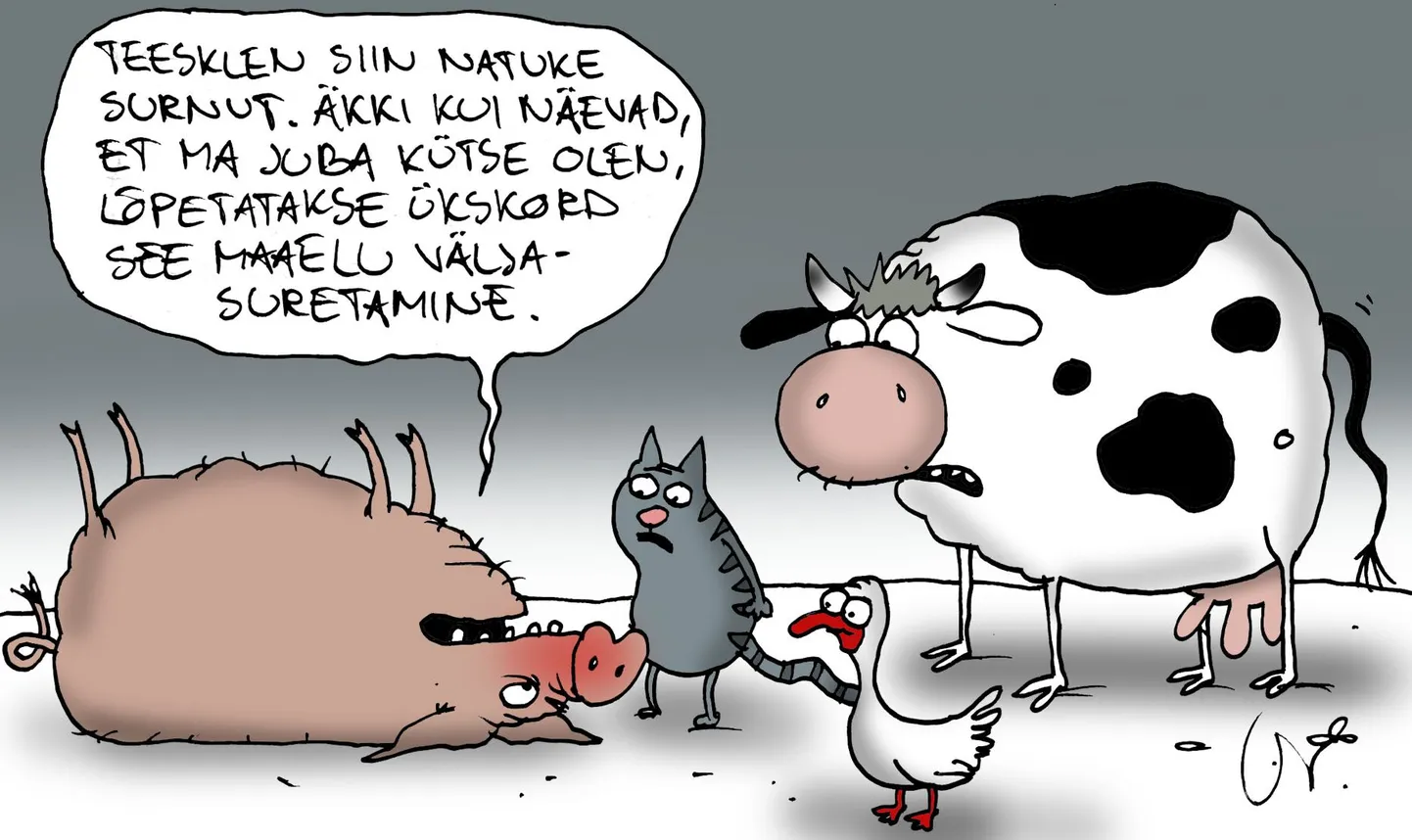 Artikli foto