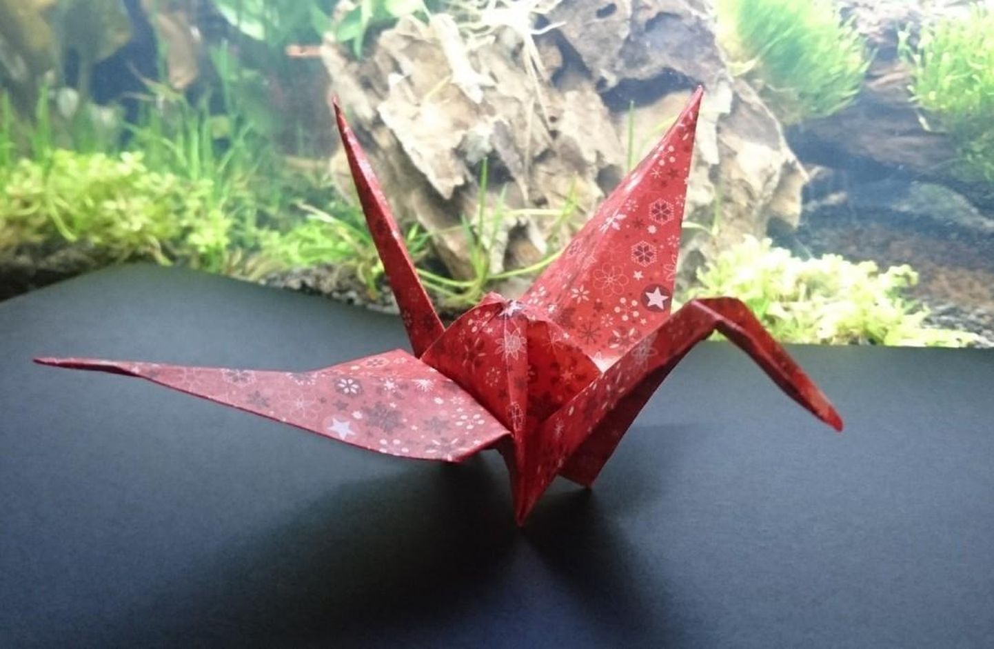 Jaapani paberivoltimise kunsti ehk origami valdajad oskavad teha paljude muude vahvate asjade hulgas ka paberist linde.