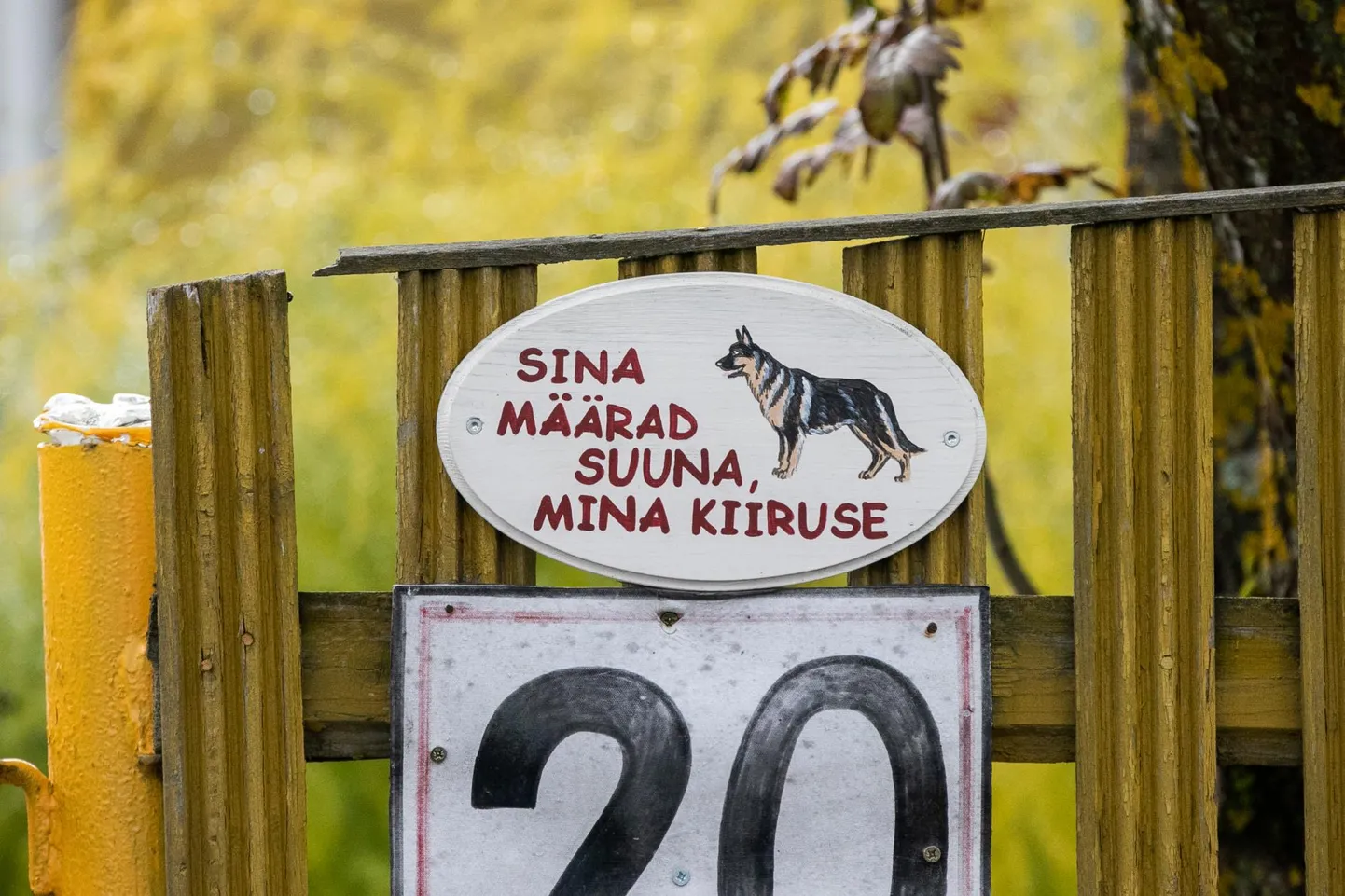 Aga isegi kui valida väga hea suund, pole sellest tõenäoliselt kuigivõrd abi.