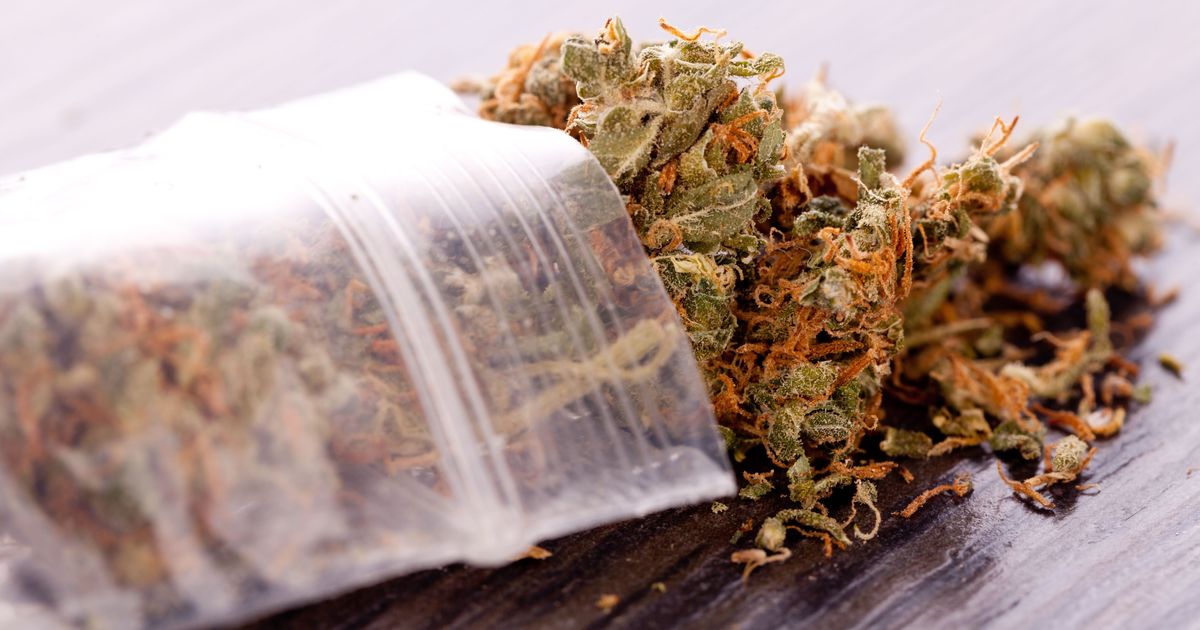 Как вывезти марихуану из голландии семя конопли распаренное