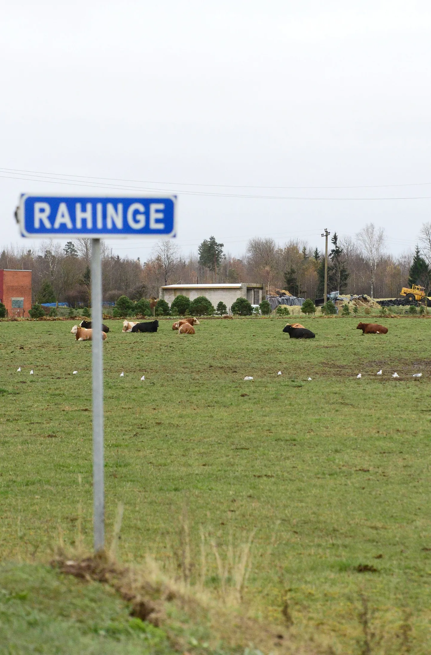 Esimese etapina valmis 3,2 kilomeetri pikkune teelõik Ilmatsalu ringist Rahinge külani.