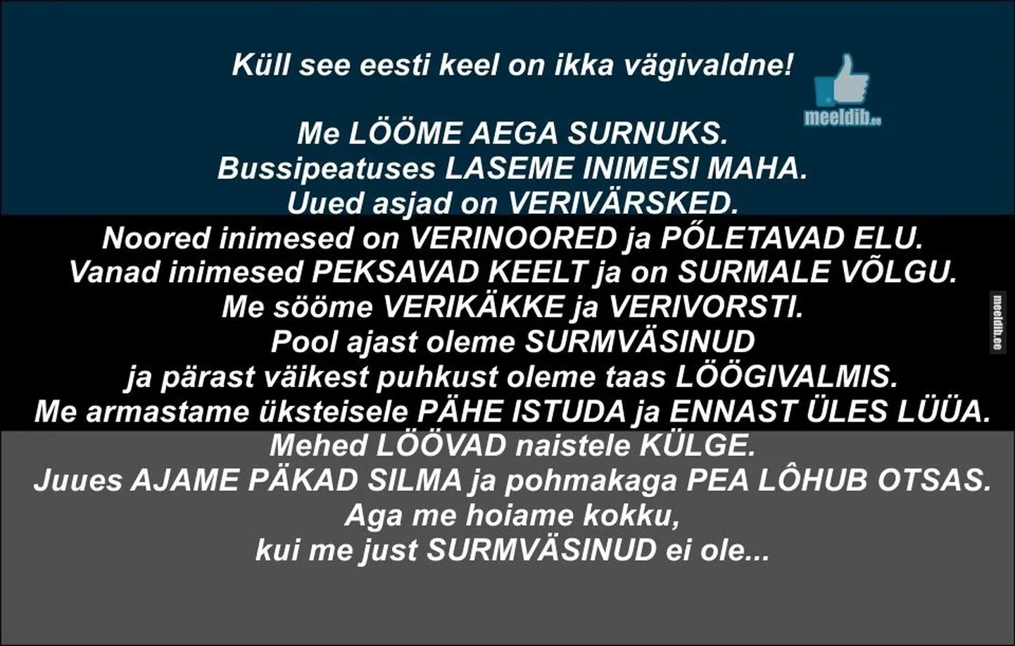 Artikli foto