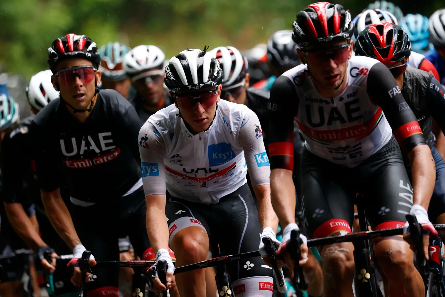 Ratturid Tour de France'il.