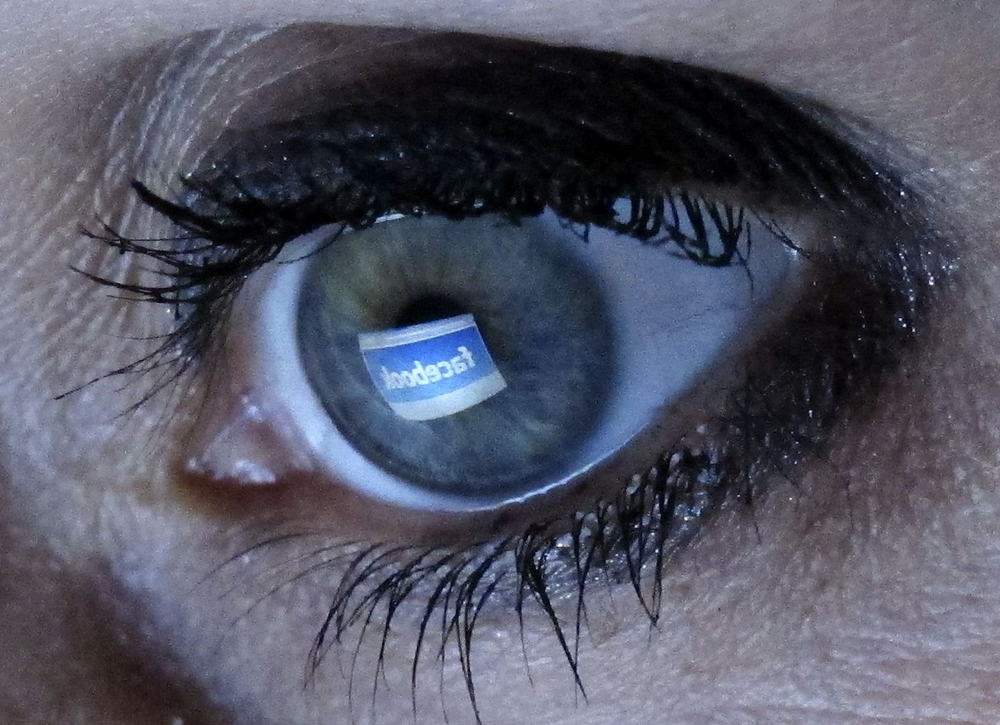 A file illustration picture shows a woman looking at the Facebook website on a computer in Munich February 2, 2012. Social media company Facebook Inc reported October 4, 2012, it reached the 1 billion user mark last month, while Chief Executive Mark Zuckerberg said it would keep pursuing growth through mobile devices.  REUTERS/Michael Dalder/files   (GERMANY - Tags: BUSINESS SCIENCE TECHNOLOGY)