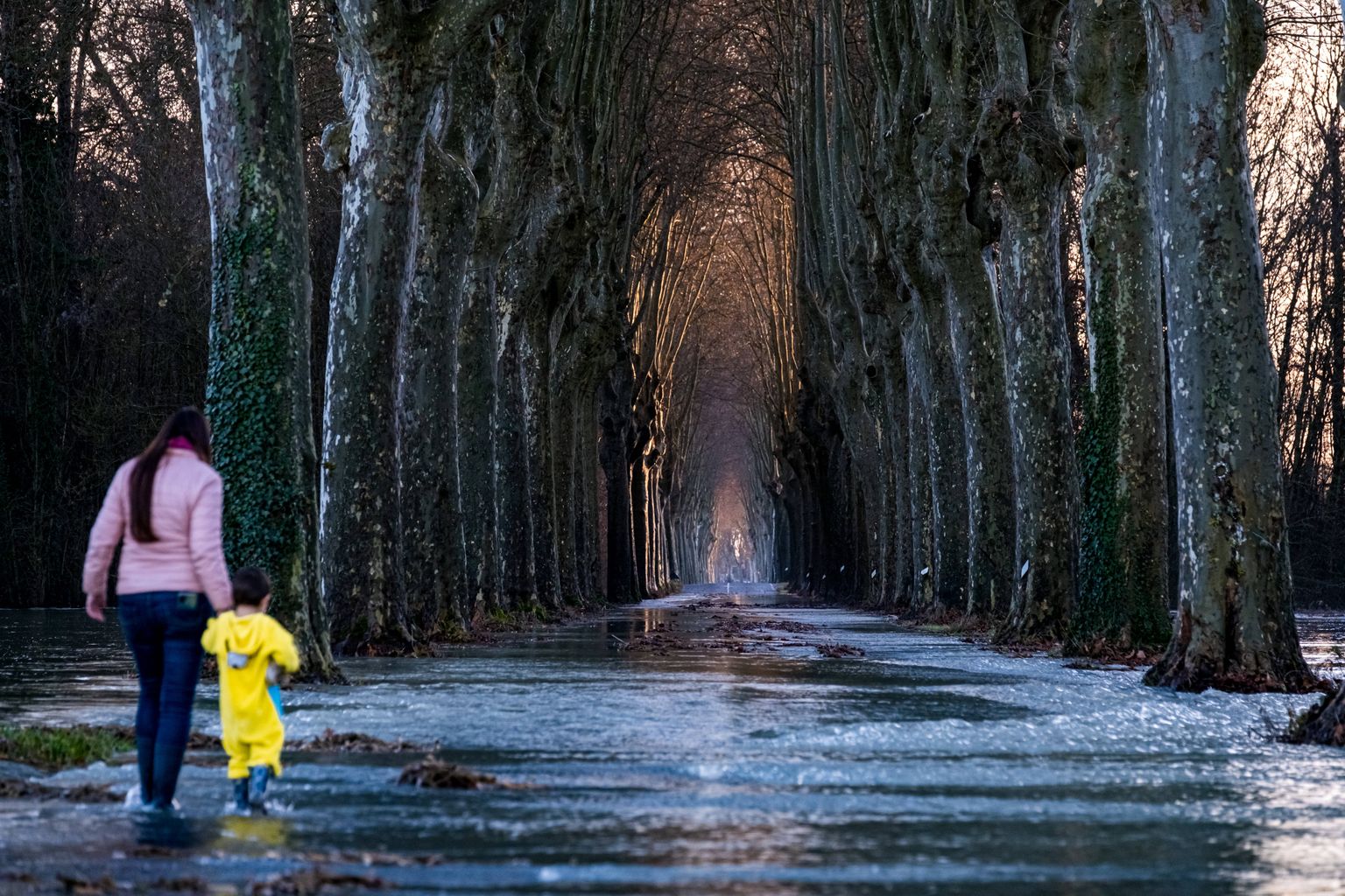 Prantsusmaal asuva Aini jõe üleujutus Chazey-sur-Ainis talvel 30. detsembril 2021.
