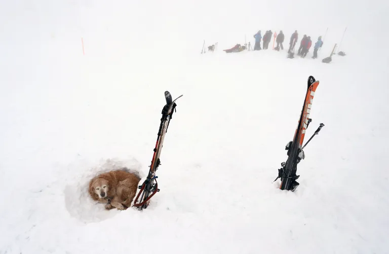 KARL-JOSEF HILDENBRAND/AFP/Scanpix