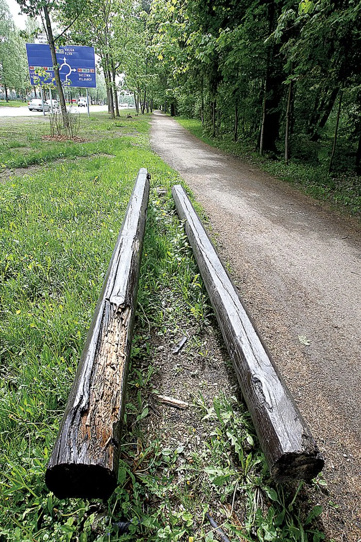 Raja tänava pargi jooksuraja ääres olevad painutuspalgid on otstest mädad ja murenevad.